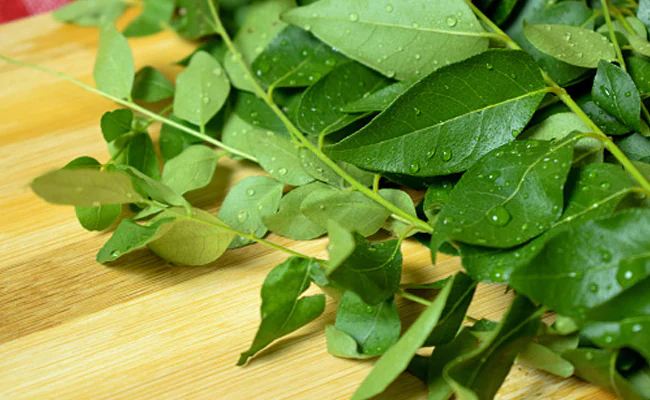 curry leaves for diabetes