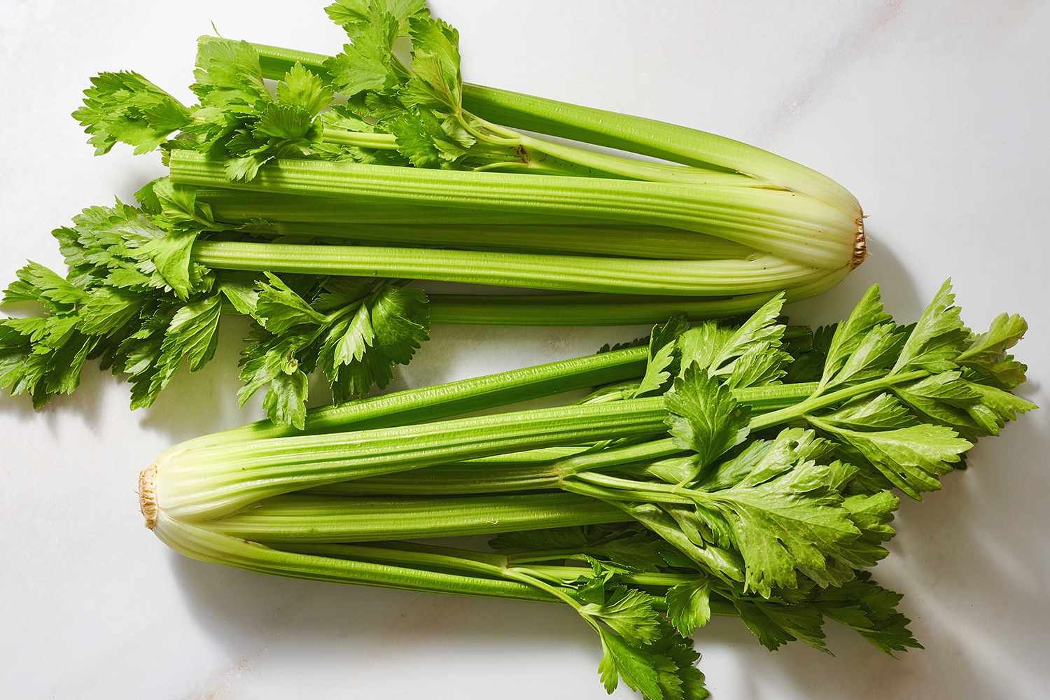 is celery good for diabetes