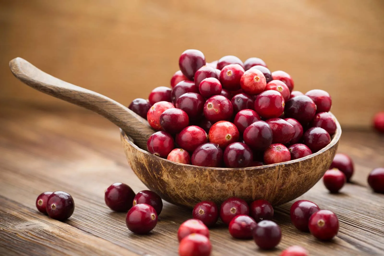 is cranberry good for diabetes