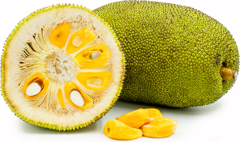 is jackfruit good for diabetes