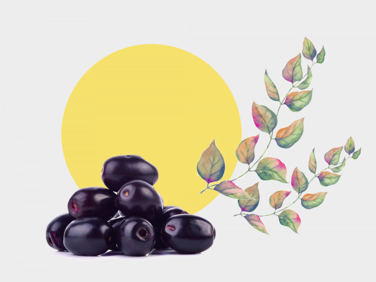 is jamun good for diabetes