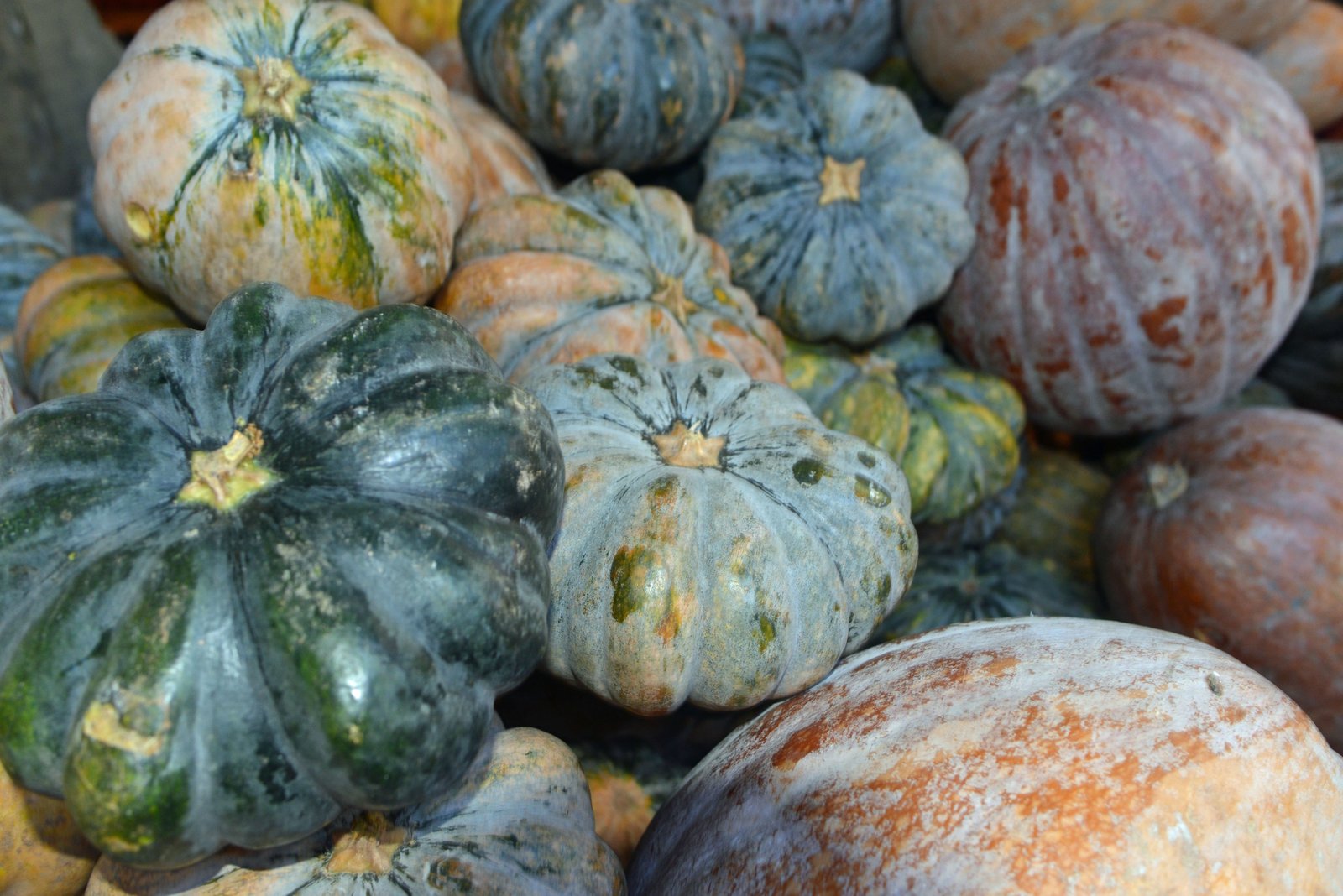 is pumpkin good for diabetes