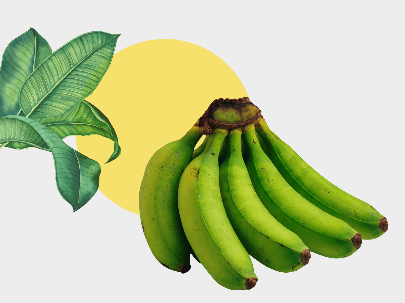 is raw banana good for diabetes