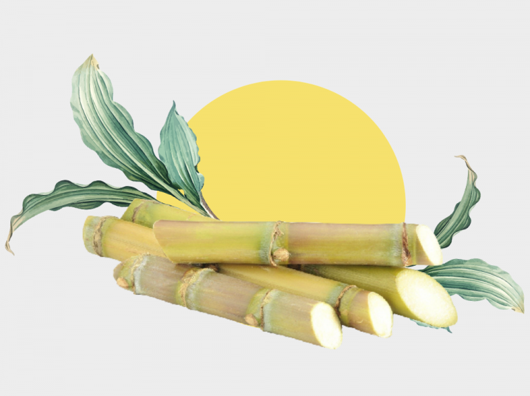 is sugarcane juice good for diabetes