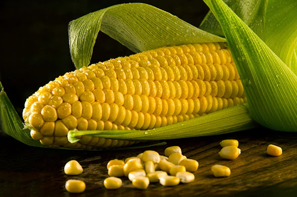 is sweet corn good for diabetes