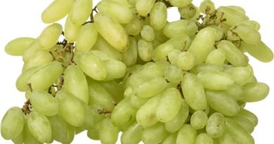 are grapes good for weight loss