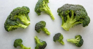 broccoli for weight loss