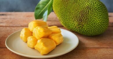 is jackfruit good for weight loss