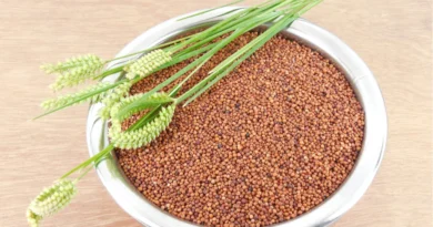 is ragi good for weight loss