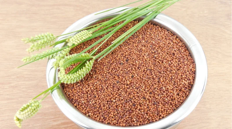 is ragi good for weight loss