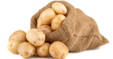 is potato good for weight loss