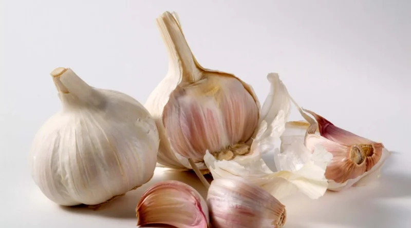 garlic for high blood pressure