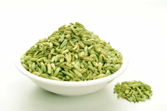 fennel seeds for periods