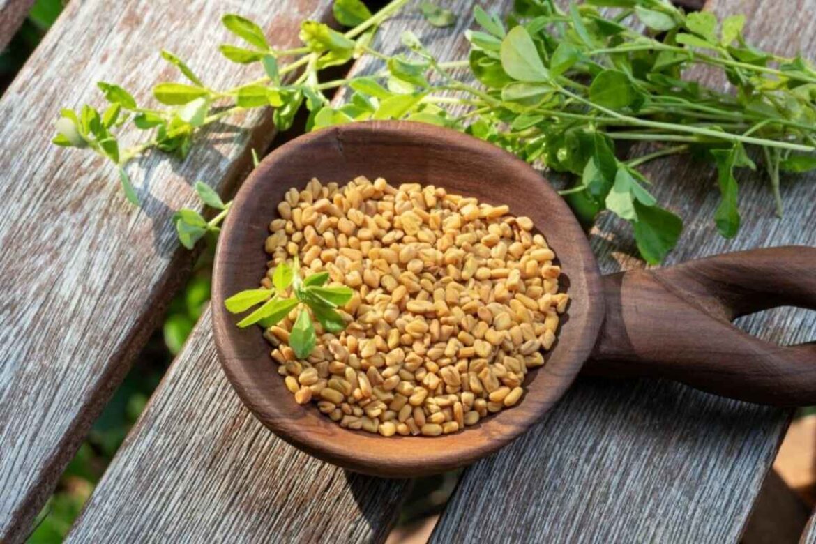 fenugreek for pcos